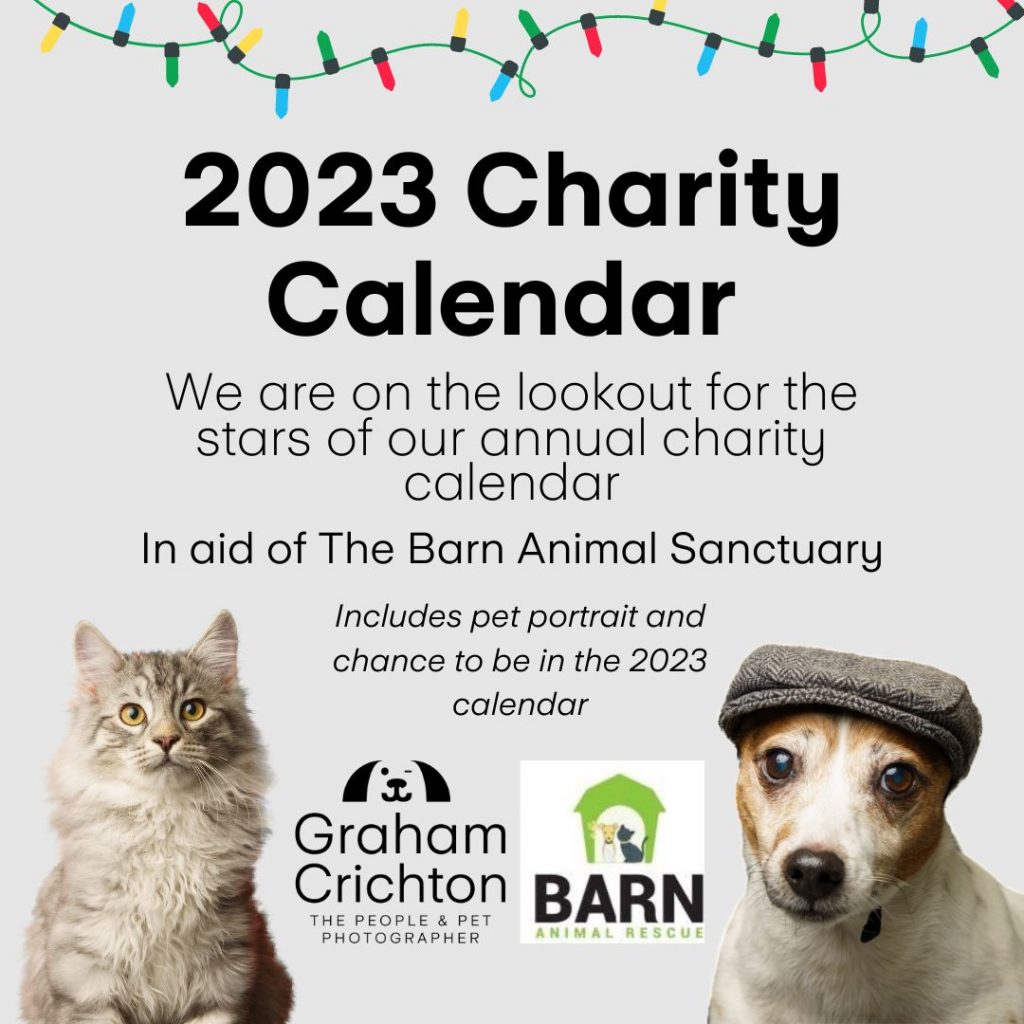 2023 Charity Calendar