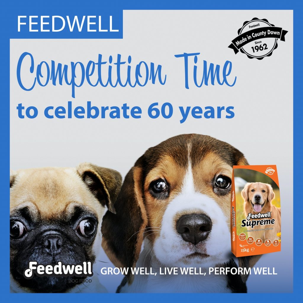 Feedwell Competition Time