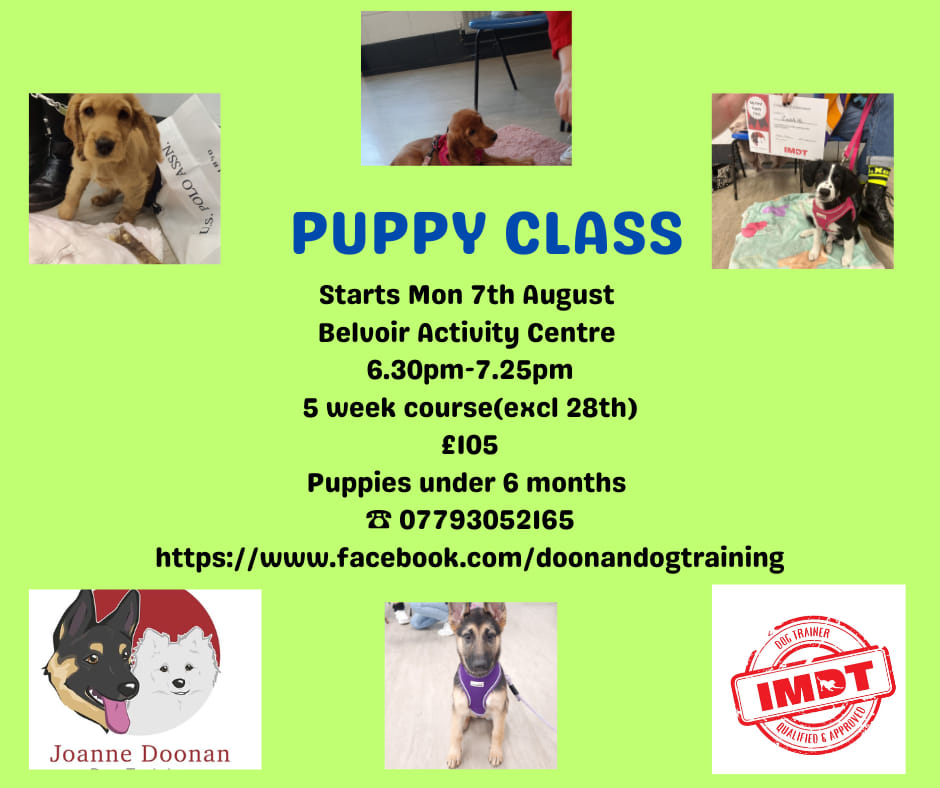 August puppy class