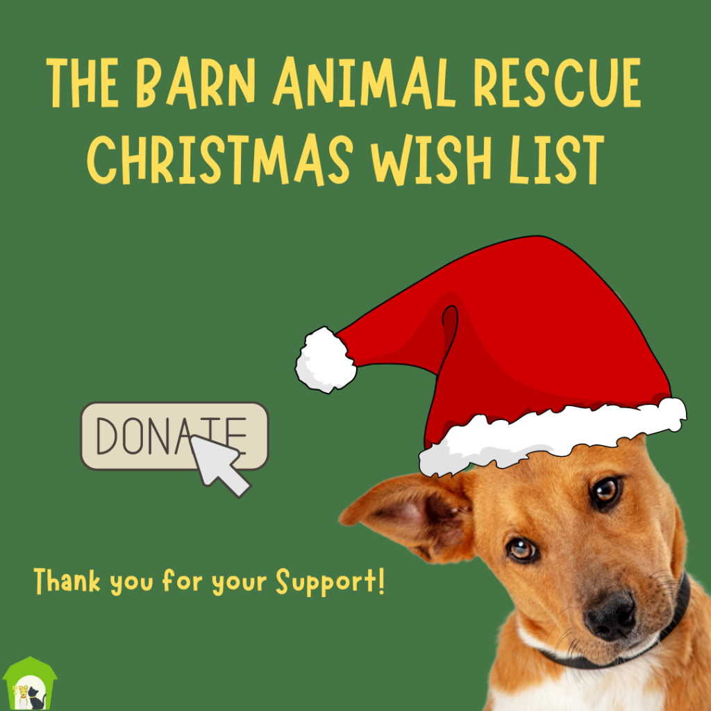 The Barn Animal Rescue Christmas Wishlist