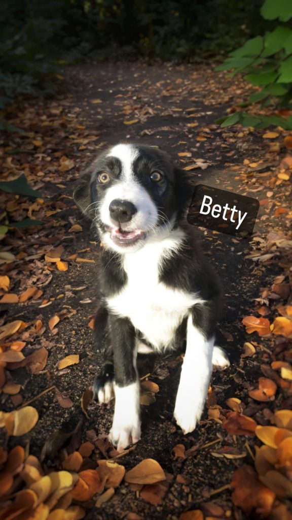 Meet Betty