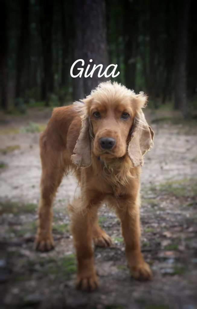 Meet Gina
